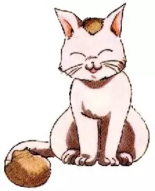 Tama image